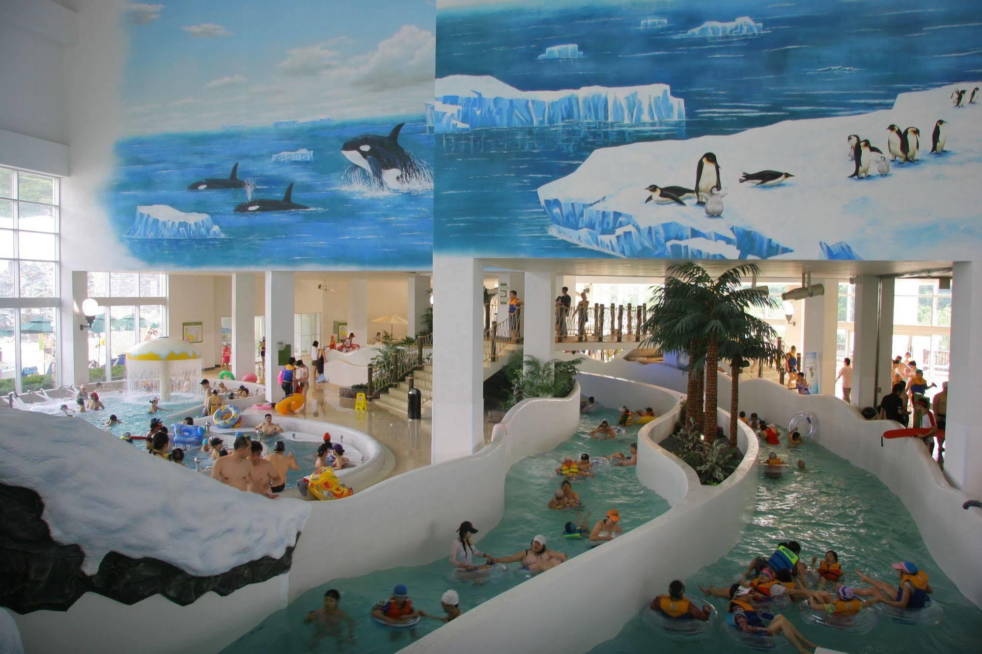 Yongpyong Resort Villa Condominium Pyeongchang Eksteriør bilde